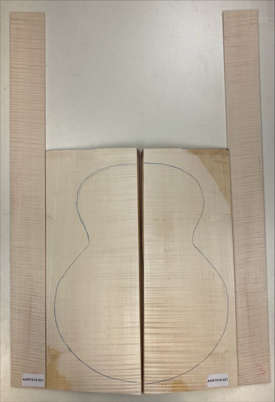 Back & Sides Sycamore / Europ. Maple, Archtop Unique Piece #021